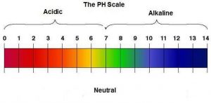 How to correct pH in soil